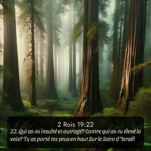 Segond 2 Rois  ; image nature: image avec le verset biblique :Qui as-tu insulté et outragé? Contre qui as-tu élevé la voix? Tu as porté tes yeux en haut Sur le Saint d&#039;Israël! ;  ; 19:22