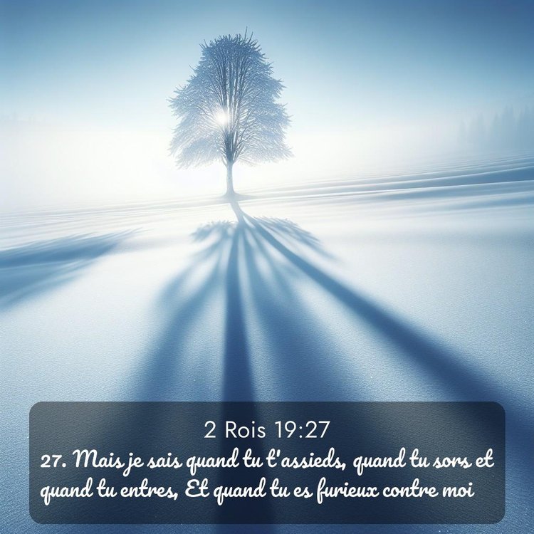 Segond 2 Rois 19:27