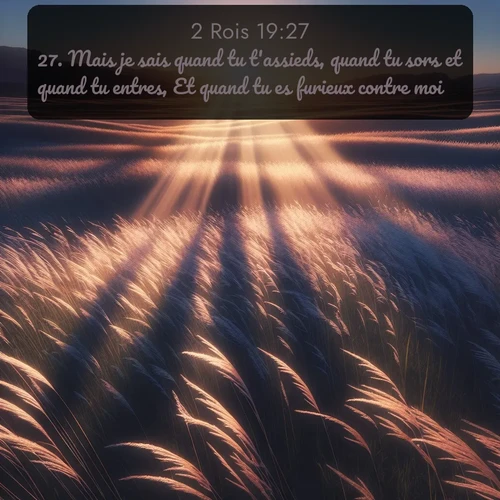 Segond 2 Rois  ; image nature: image avec le verset biblique :Mais je sais quand tu t&#039;assieds, quand tu sors et quand tu entres, Et quand tu es furieux contre moi. ;  ; 19:27