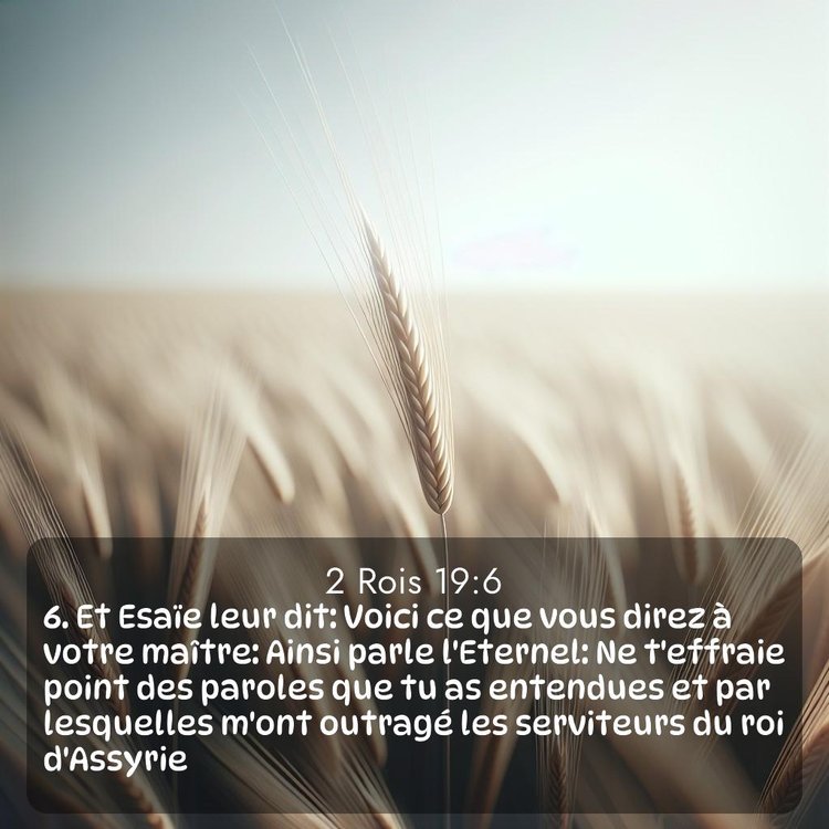 Segond 2 Rois 19:6