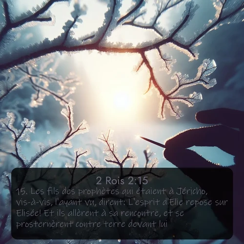 Segond 2 Rois  ; image nature: image avec le verset biblique :Les fils des prophètes qui étaient à Jéricho, vis-à-vis, l&#039;ayant vu, dirent: L&#039;esprit d&#039;Elie repose sur Elisée! Et ils allèrent à sa rencontre, et se prosternèrent contre terre devant lui. ;  ; 2:15
