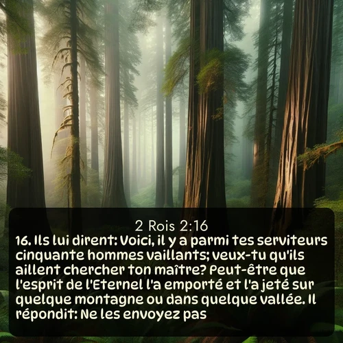 Segond 2 Rois  ; image nature: image avec le verset biblique :Ils lui dirent: Voici, il y a parmi tes serviteurs cinquante hommes vaillants; veux-tu qu&#039;ils aillent chercher ton maître? Peut-être que l&#039;esprit de l&#039;Eternel l&#039;a emporté et l&#039;a jeté sur quelque montagne ou dans quelque vallée. Il répondit: Ne les envoyez pas. ;  ; 2:16