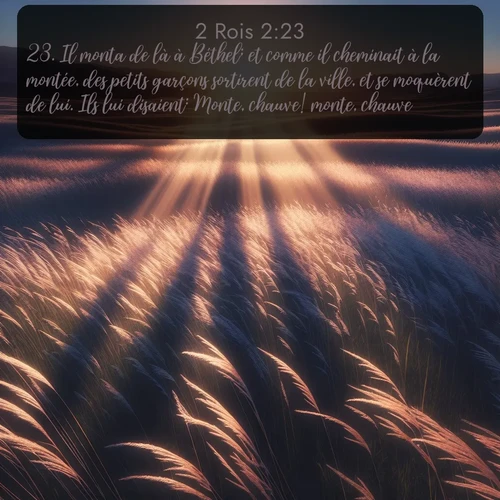 Segond 2 Rois  ; image nature: image avec le verset biblique :Il monta de là à Béthel; et comme il cheminait à la montée, des petits garçons sortirent de la ville, et se moquèrent de lui. Ils lui disaient: Monte, chauve! monte, chauve! ;  ; 2:23