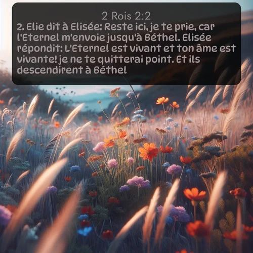 Segond 2 Rois  ; image nature: image avec le verset biblique :Elie dit à Elisée: Reste ici, je te prie, car l&#039;Eternel m&#039;envoie jusqu&#039;à Béthel. Elisée répondit: L&#039;Eternel est vivant et ton âme est vivante! je ne te quitterai point. Et ils descendirent à Béthel. ;  ; 2:2