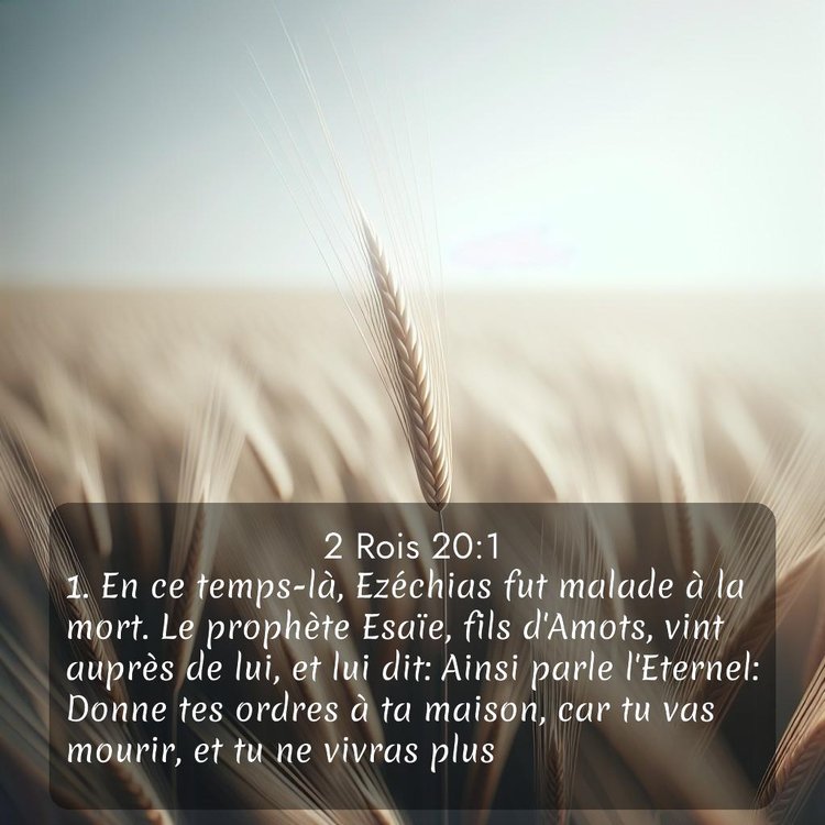 Segond 2 Rois 20:1