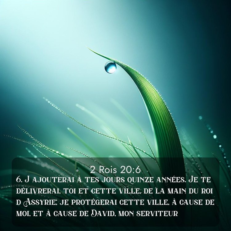 Segond 2 Rois 20:6