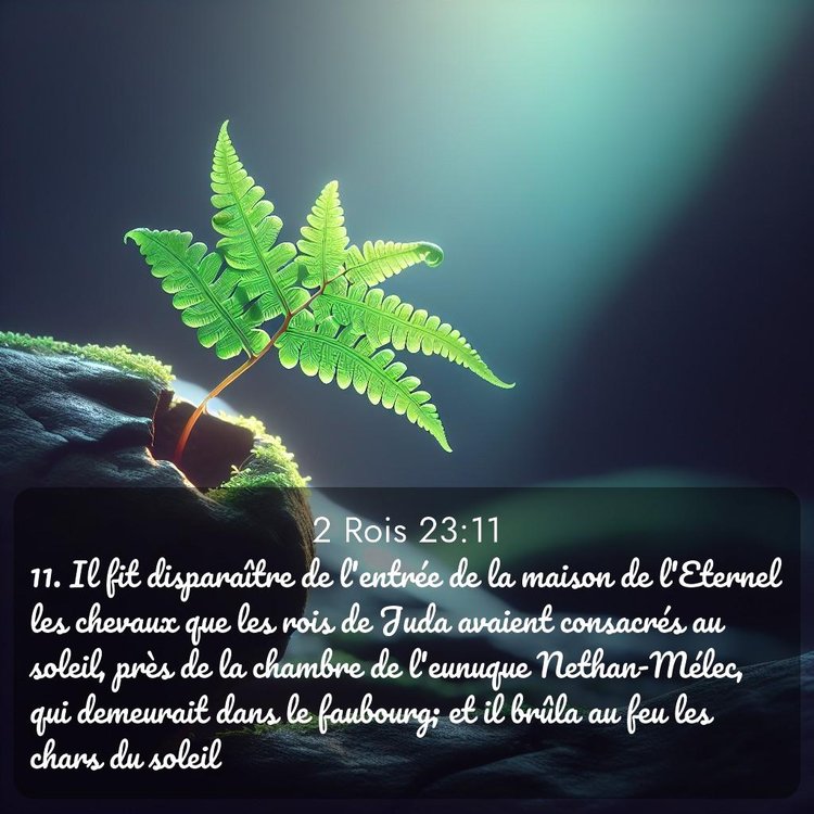 Segond 2 Rois 23:11