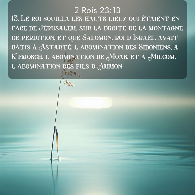 Segond 2 Rois 23:13