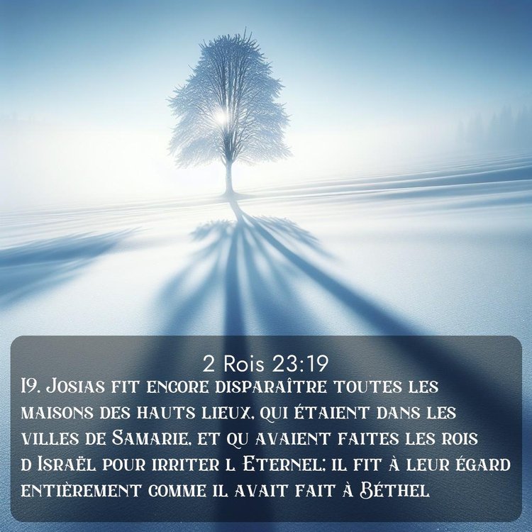 Segond 2 Rois 23:19