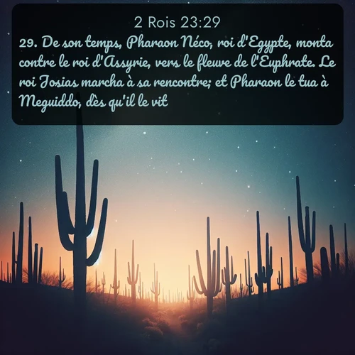 Segond 2 Rois  ; image nature: image avec le verset biblique :De son temps, Pharaon Néco, roi d&#039;Egypte, monta contre le roi d&#039;Assyrie, vers le fleuve de l&#039;Euphrate. Le roi Josias marcha à sa rencontre; et Pharaon le tua à Meguiddo, dès qu&#039;il le vit. ;  ; 23:29