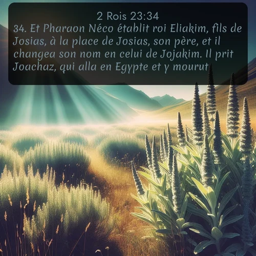 Segond 2 Rois  ; image nature: image avec le verset biblique :Et Pharaon Néco établit roi Eliakim, fils de Josias, à la place de Josias, son père, et il changea son nom en celui de Jojakim. Il prit Joachaz, qui alla en Egypte et y mourut. ;  ; 23:34