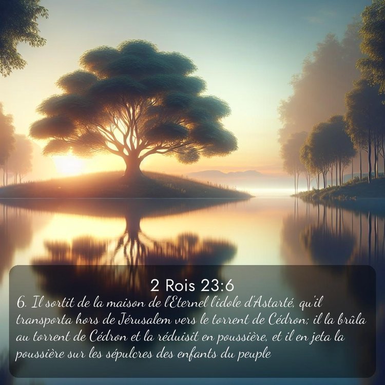 Segond 2 Rois 23:6