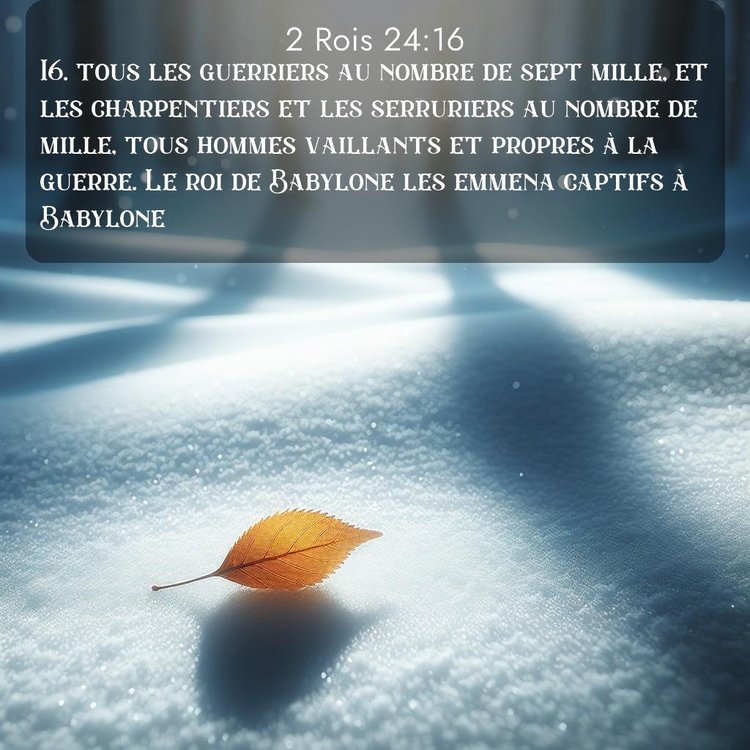 Segond 2 Rois 24:16