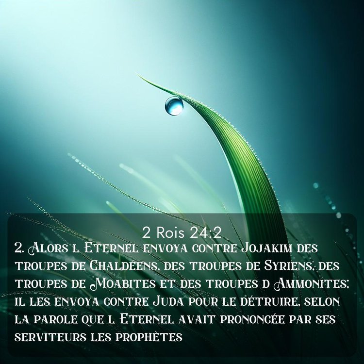 Segond 2 Rois 24:2