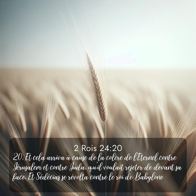 Segond 2 Rois 24:20