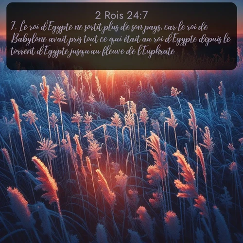 Segond 2 Rois  ; image nature: image avec le verset biblique :Le roi d&#039;Egypte ne sortit plus de son pays, car le roi de Babylone avait pris tout ce qui était au roi d&#039;Egypte depuis le torrent d&#039;Egypte jusqu&#039;au fleuve de l&#039;Euphrate. ;  ; 24:7
