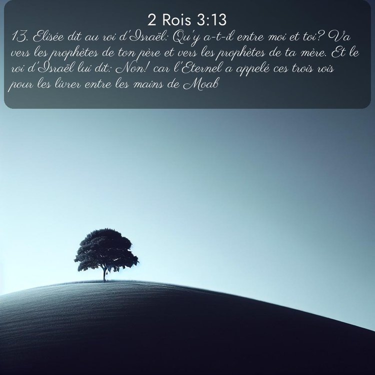 Segond 2 Rois 3:13