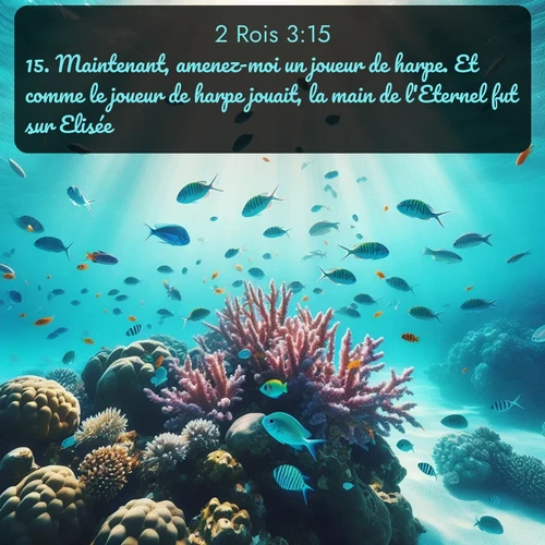 Segond 2 Rois  ; image nature: image avec le verset biblique :Maintenant, amenez-moi un joueur de harpe. Et comme le joueur de harpe jouait, la main de l&#039;Eternel fut sur Elisée. ;  ; 3:15