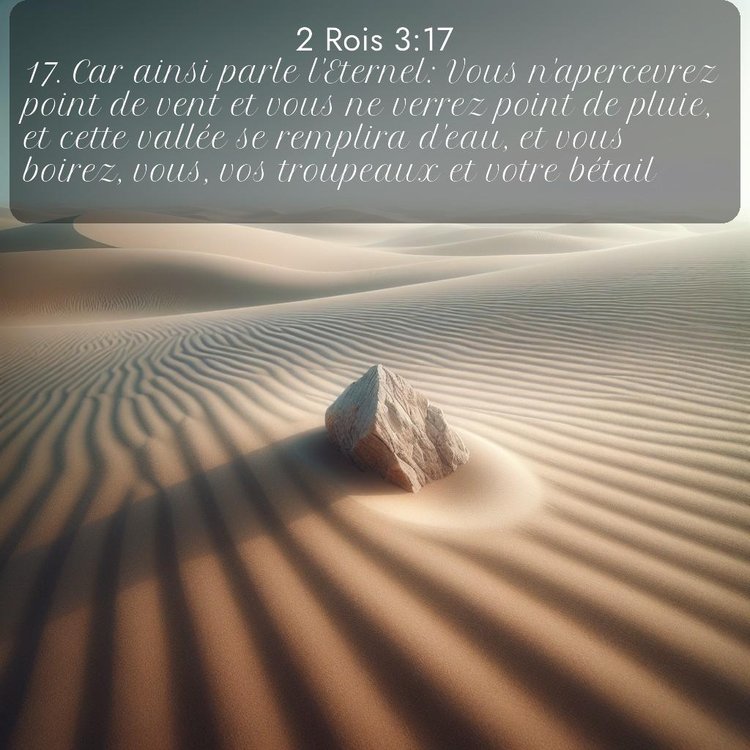 Segond 2 Rois 3:17