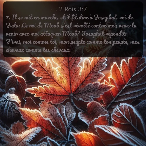 Segond 2 Rois  ; image nature: image avec le verset biblique :Il se mit en marche, et il fit dire à Josaphat, roi de Juda: Le roi de Moab s&#039;est révolté contre moi; veux-tu venir avec moi attaquer Moab? Josaphat répondit: J&#039;irai, moi comme toi, mon peuple comme ton peuple, mes chevaux comme tes chevaux. ;  ; 3:7