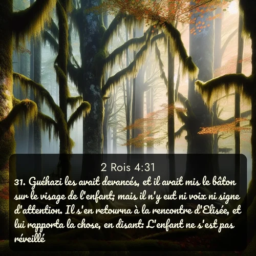 Segond 2 Rois  ; image nature: image avec le verset biblique :Guéhazi les avait devancés, et il avait mis le bâton sur le visage de l&#039;enfant; mais il n&#039;y eut ni voix ni signe d&#039;attention. Il s&#039;en retourna à la rencontre d&#039;Elisée, et lui rapporta la chose, en disant: L&#039;enfant ne s&#039;est pas réveillé. ;  ; 4:31