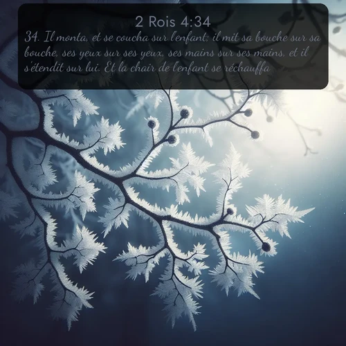 Segond 2 Rois  ; image nature: image avec le verset biblique :Il monta, et se coucha sur l&#039;enfant; il mit sa bouche sur sa bouche, ses yeux sur ses yeux, ses mains sur ses mains, et il s&#039;étendit sur lui. Et la chair de l&#039;enfant se réchauffa. ;  ; 4:34