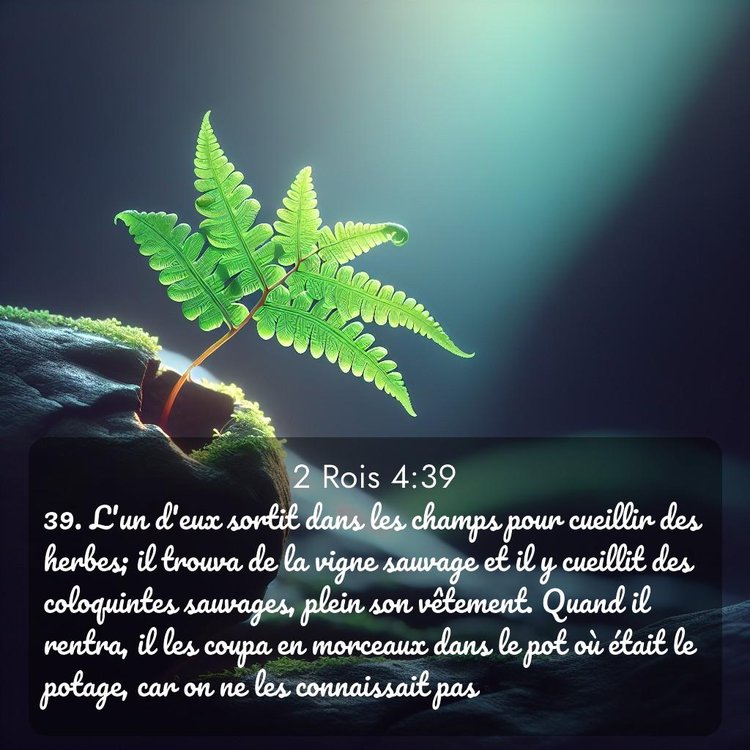 Segond 2 Rois 4:39