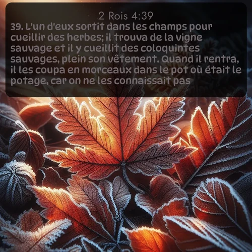 Segond 2 Rois  ; image nature: image avec le verset biblique :L&#039;un d&#039;eux sortit dans les champs pour cueillir des herbes; il trouva de la vigne sauvage et il y cueillit des coloquintes sauvages, plein son vêtement. Quand il rentra, il les coupa en morceaux dans le pot où était le potage, car on ne les connaissait pas. ;  ; 4:39