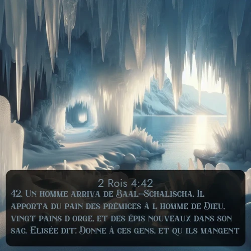 Segond 2 Rois  ; image nature: image avec le verset biblique :Un homme arriva de Baal-Schalischa. Il apporta du pain des prémices à l&#039;homme de Dieu, vingt pains d&#039;orge, et des épis nouveaux dans son sac. Elisée dit: Donne à ces gens, et qu&#039;ils mangent. ;  ; 4:42