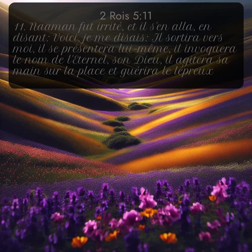 Segond 2 Rois  ; image nature: image avec le verset biblique :Naaman fut irrité, et il s&#039;en alla, en disant: Voici, je me disais: Il sortira vers moi, il se présentera lui-même, il invoquera le nom de l&#039;Eternel, son Dieu, il agitera sa main sur la place et guérira le lépreux. ;  ; 5:11