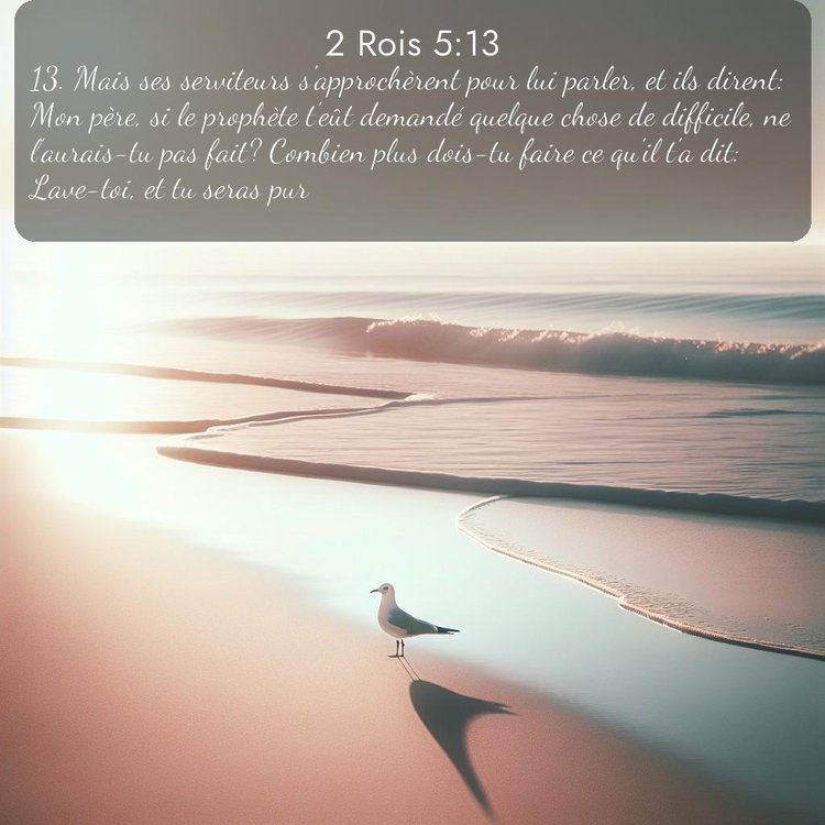 Segond 2 Rois 5:13