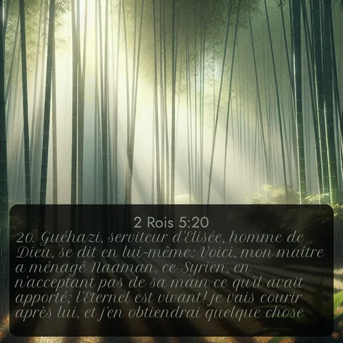 Segond 2 Rois  ; image nature: image avec le verset biblique :Guéhazi, serviteur d&#039;Elisée, homme de Dieu, se dit en lui-même: Voici, mon maître a ménagé Naaman, ce Syrien, en n&#039;acceptant pas de sa main ce qu&#039;il avait apporté; l&#039;Eternel est vivant! je vais courir après lui, et j&#039;en obtiendrai quelque chose. ;  ; 5:20