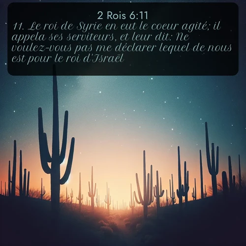Segond 2 Rois  ; image nature: image avec le verset biblique :Le roi de Syrie en eut le coeur agité; il appela ses serviteurs, et leur dit: Ne voulez-vous pas me déclarer lequel de nous est pour le roi d&#039;Israël? ;  ; 6:11