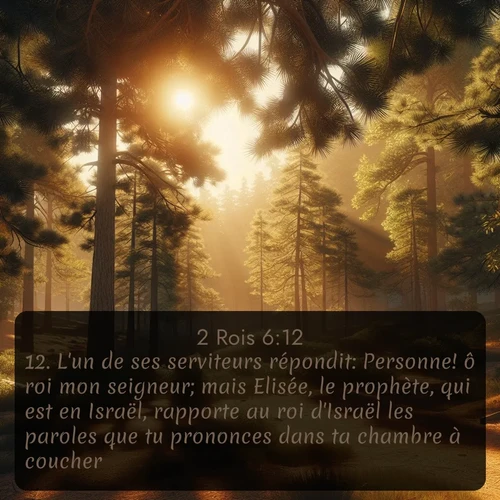 Segond 2 Rois  ; image nature: image avec le verset biblique :L&#039;un de ses serviteurs répondit: Personne! ô roi mon seigneur; mais Elisée, le prophète, qui est en Israël, rapporte au roi d&#039;Israël les paroles que tu prononces dans ta chambre à coucher. ;  ; 6:12