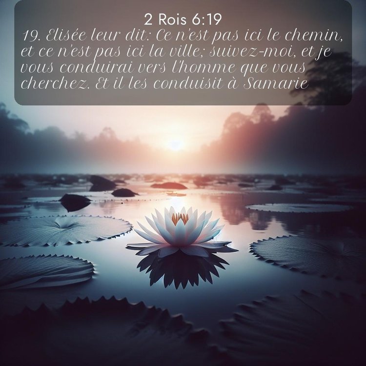 Segond 2 Rois 6:19