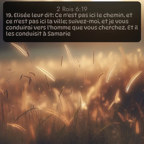 Segond 2 Rois  ; image nature: image avec le verset biblique :Elisée leur dit: Ce n&#039;est pas ici le chemin, et ce n&#039;est pas ici la ville; suivez-moi, et je vous conduirai vers l&#039;homme que vous cherchez. Et il les conduisit à Samarie. ;  ; 6:19