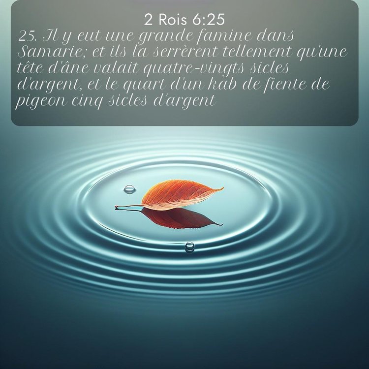 Bible Segond 2 Rois 6:25