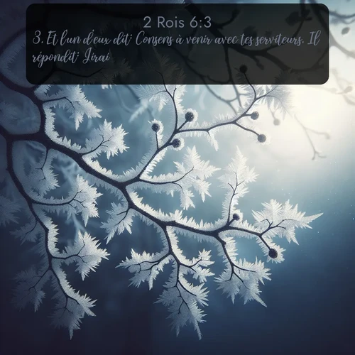 Segond 2 Rois  ; image nature: image avec le verset biblique :Et l&#039;un d&#039;eux dit: Consens à venir avec tes serviteurs. Il répondit: J&#039;irai. ;  ; 6:3