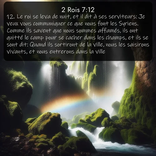 Segond 2 Rois  ; image nature: image avec le verset biblique :Le roi se leva de nuit, et il dit à ses serviteurs: Je veux vous communiquer ce que nous font les Syriens. Comme ils savent que nous sommes affamés, ils ont quitté le camp pour se cacher dans les champs, et ils se sont dit: Quand ils sortiront de la ville, nous les saisirons vivants, et nous entrerons dans la ville. ;  ; 7:12