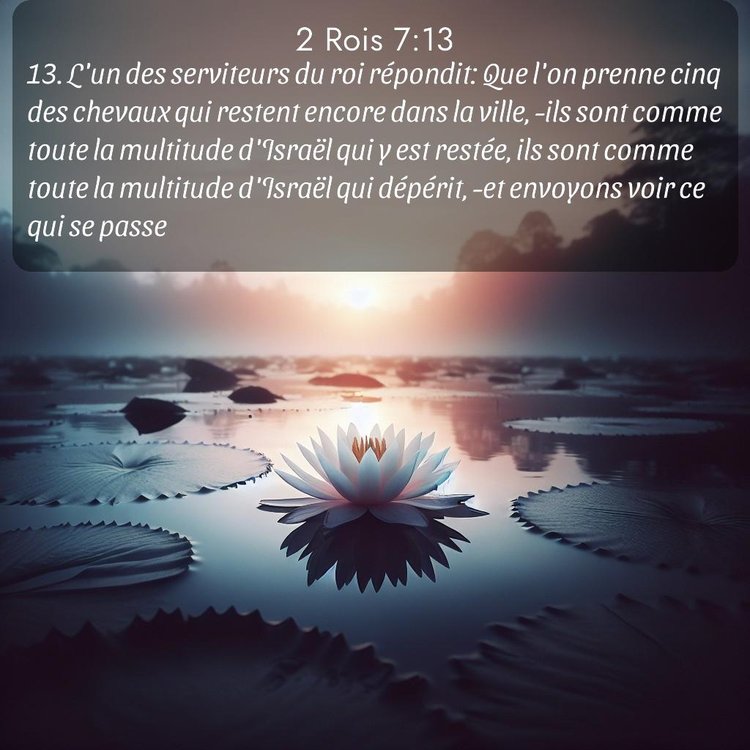 Segond 2 Rois 7:13