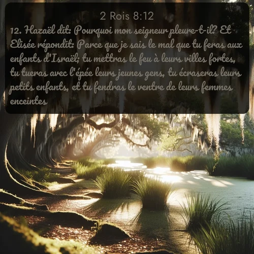 Segond 2 Rois  ; image nature: image avec le verset biblique :Hazaël dit: Pourquoi mon seigneur pleure-t-il? Et Elisée répondit: Parce que je sais le mal que tu feras aux enfants d&#039;Israël; tu mettras le feu à leurs villes fortes, tu tueras avec l&#039;épée leurs jeunes gens, tu écraseras leurs petits enfants, et tu fendras le ventre de leurs femmes enceintes. ;  ; 8:12