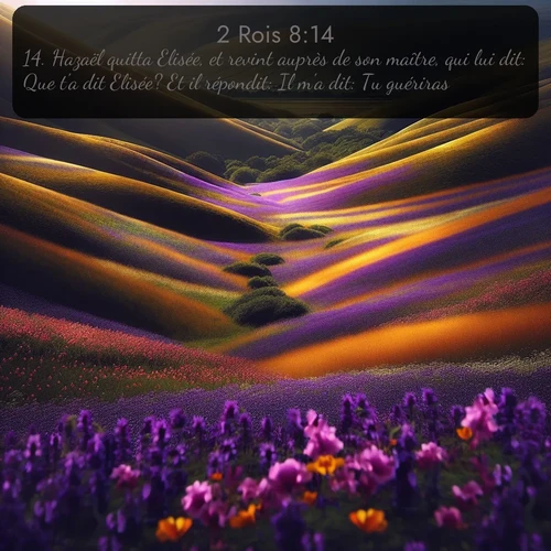 Segond 2 Rois  ; image nature: image avec le verset biblique :Hazaël quitta Elisée, et revint auprès de son maître, qui lui dit: Que t&#039;a dit Elisée? Et il répondit: Il m&#039;a dit: Tu guériras! ;  ; 8:14