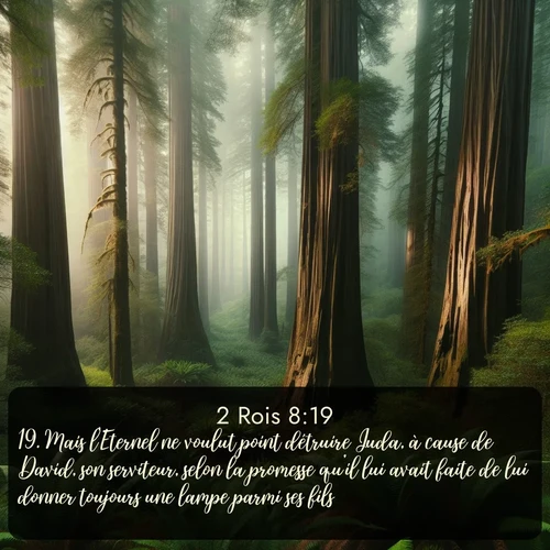 Segond 2 Rois  ; image nature: image avec le verset biblique :Mais l&#039;Eternel ne voulut point détruire Juda, à cause de David, son serviteur, selon la promesse qu&#039;il lui avait faite de lui donner toujours une lampe parmi ses fils. ;  ; 8:19