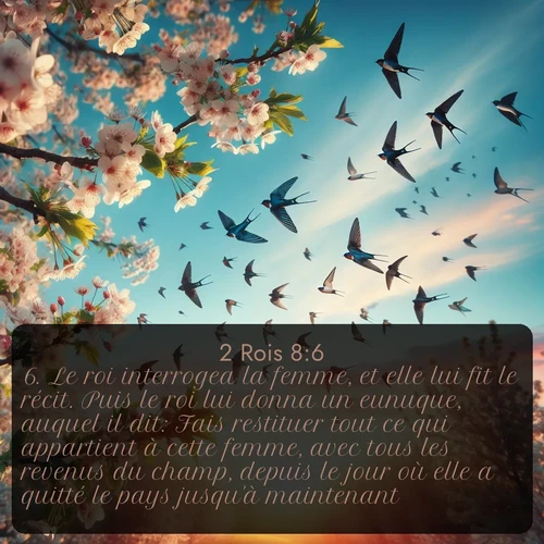 Segond 2 Rois  ; image nature: image avec le verset biblique :Le roi interrogea la femme, et elle lui fit le récit. Puis le roi lui donna un eunuque, auquel il dit: Fais restituer tout ce qui appartient à cette femme, avec tous les revenus du champ, depuis le jour où elle a quitté le pays jusqu&#039;à maintenant. ;  ; 8:6