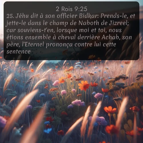 Segond 2 Rois  ; image nature: image avec le verset biblique :Jéhu dit à son officier Bidkar: Prends-le, et jette-le dans le champ de Naboth de Jizreel; car souviens-t&#039;en, lorsque moi et toi, nous étions ensemble à cheval derrière Achab, son père, l&#039;Eternel prononça contre lui cette sentence: ;  ; 9:25