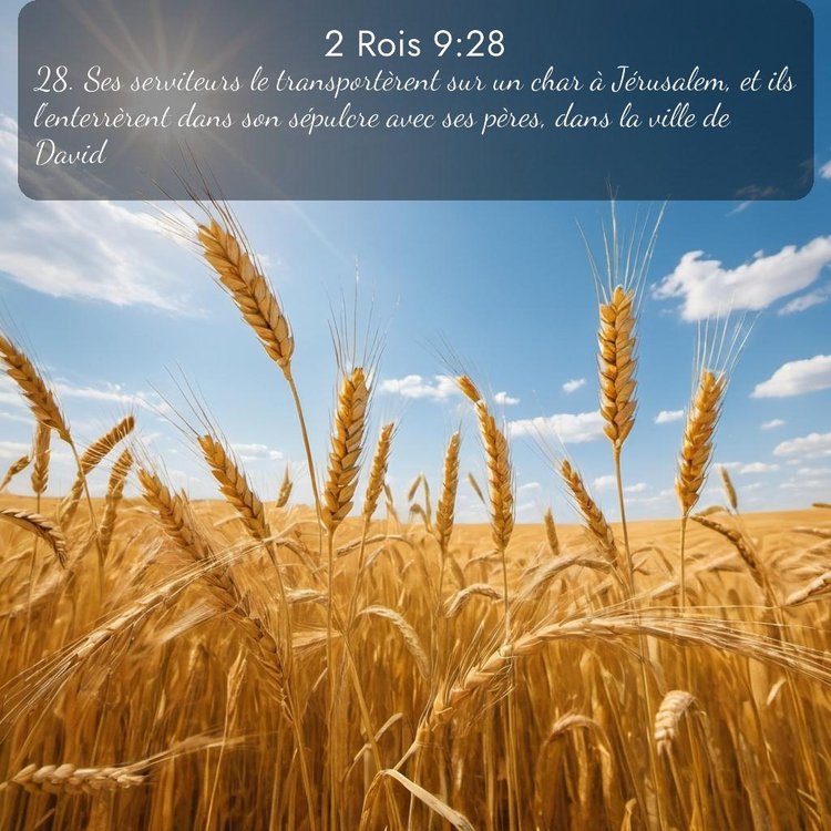 Segond 2 Rois 9:28