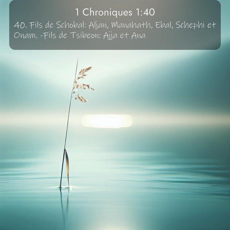 Segond 1 Chroniques 1:40