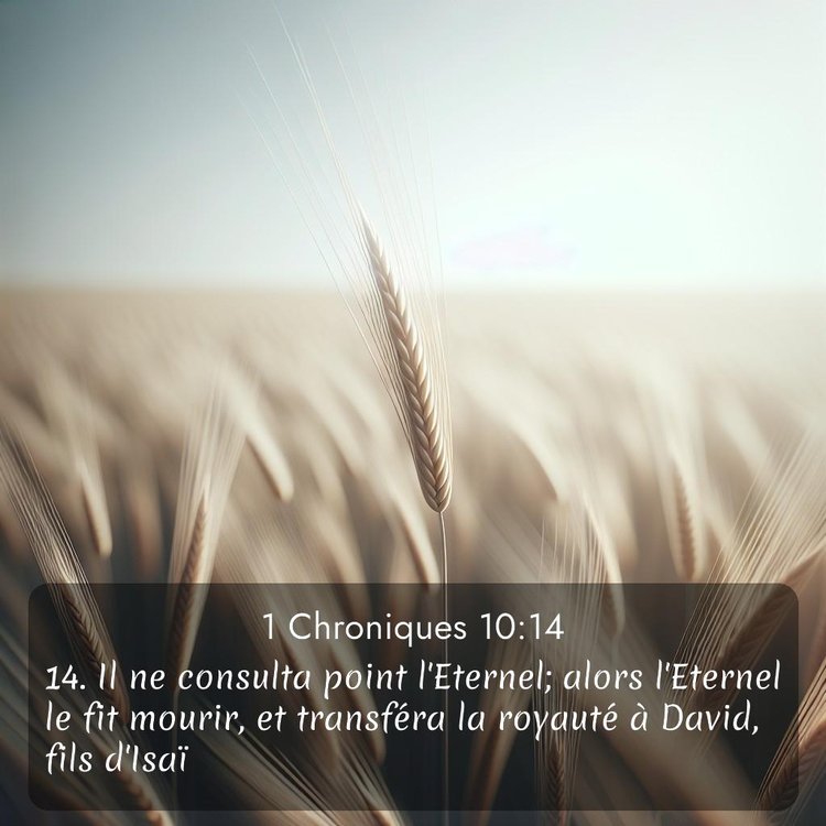 Segond 1 Chroniques 10:14