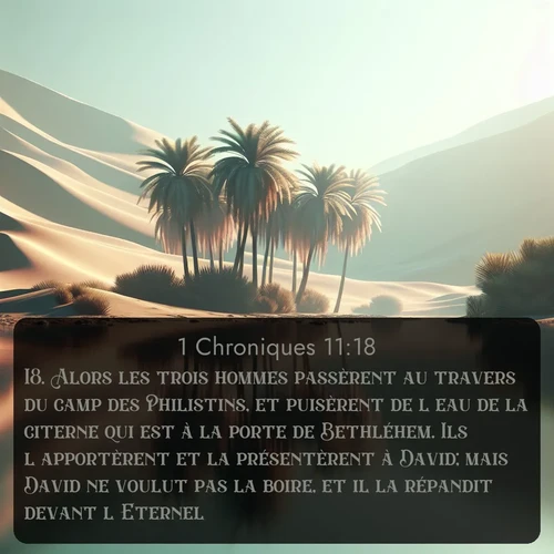 Segond 1 Chroniques  ; image nature: image avec le verset biblique :Alors les trois hommes passèrent au travers du camp des Philistins, et puisèrent de l&#039;eau de la citerne qui est à la porte de Bethléhem. Ils l&#039;apportèrent et la présentèrent à David; mais David ne voulut pas la boire, et il la répandit devant l&#039;Eternel. ;  ; 11:18