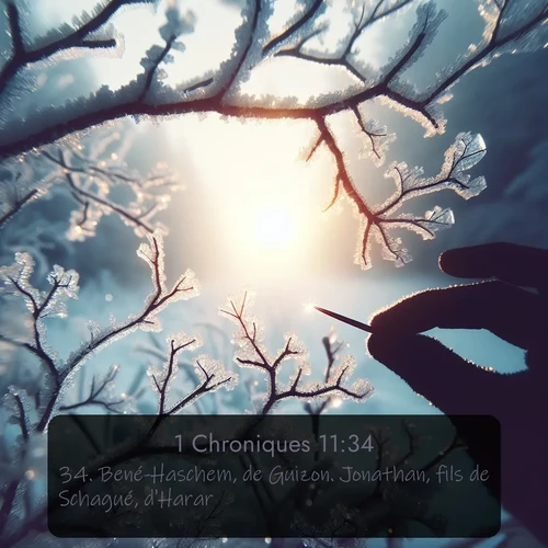 Segond 1 Chroniques  ; image nature: image avec le verset biblique :Bené-Haschem, de Guizon. Jonathan, fils de Schagué, d&#039;Harar. ;  ; 11:34
